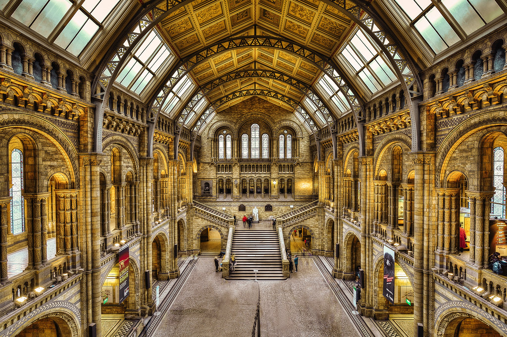 Inside The Natural History Museum, London