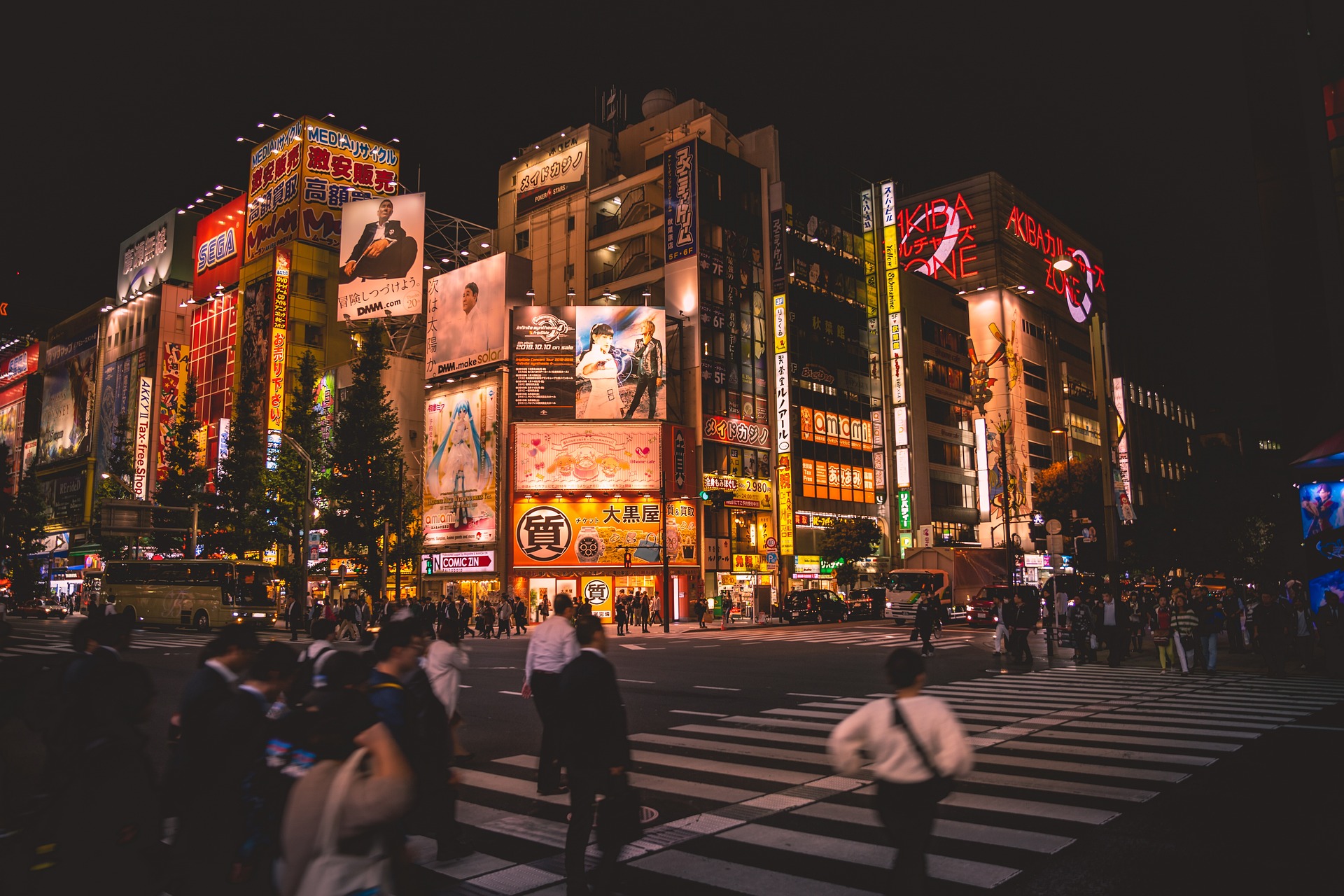 The 8 best places to take pictures in Tokyo [2024]